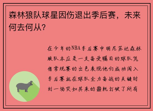 森林狼队球星因伤退出季后赛，未来何去何从？